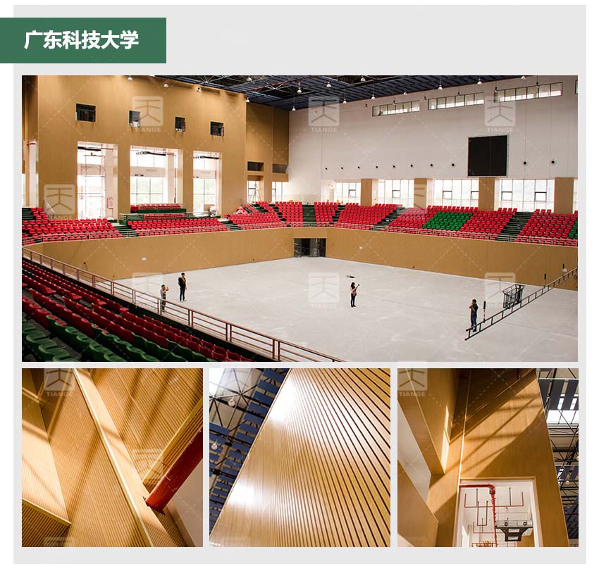 音樂廳槽木吸音板體育館工程案例 音樂廳槽木吸音板體育館工程案例