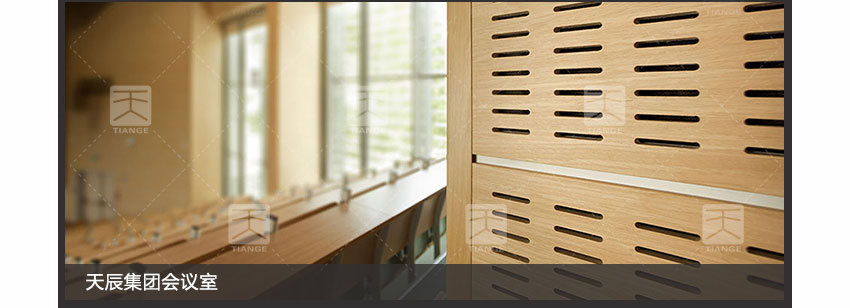 劇院孔木吸音板工程案例