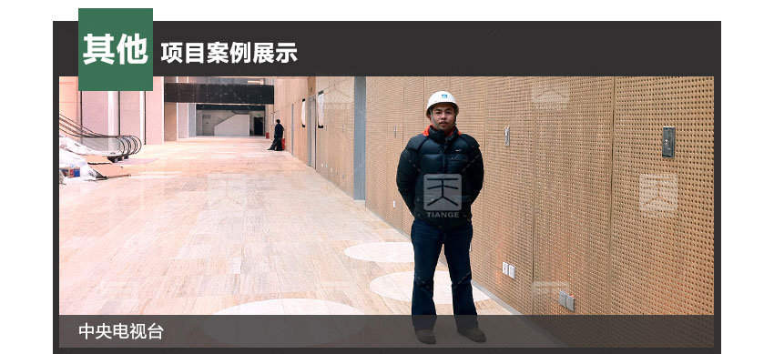 劇院孔木吸音板工程案例