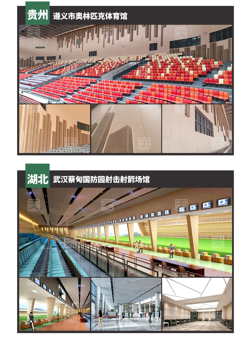 體育館孔木吸音板工程案例