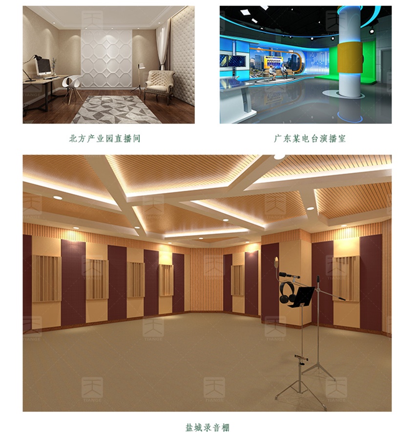 錄音棚聲學(xué)裝飾整體解決方案-4 錄音棚聲學(xué)裝飾整體解決方案-4