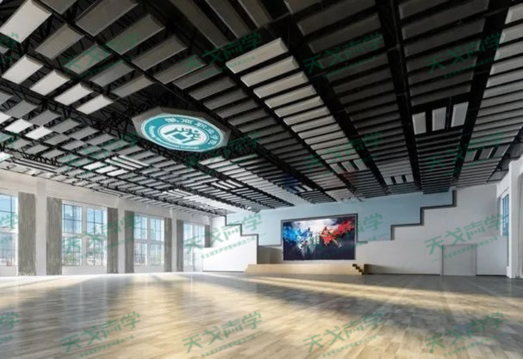 安徽徽商職業技術學院藝體中心聲學設計工程